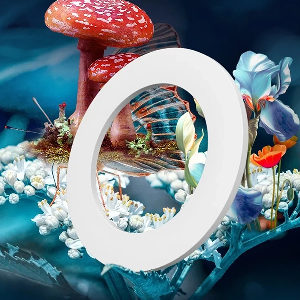 Noyau D’Aromathérapie pour Désodorisant de Voiture