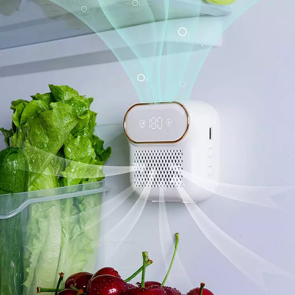Désodorisant Pour Réfrigérateur Éliminateur D’Odeurs Purificateur D’Air à L’Ozone